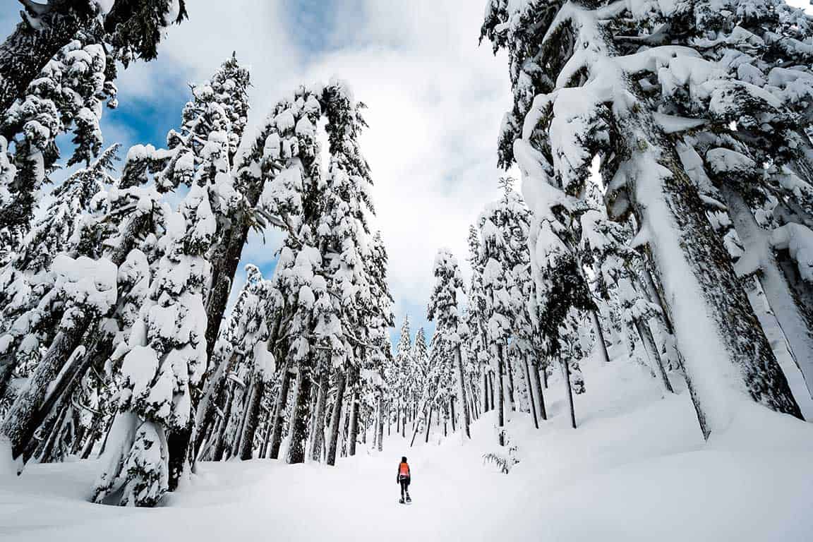 Snowshoeing