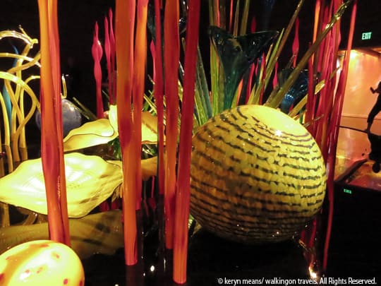 Chihuly Garden and Glass 0041