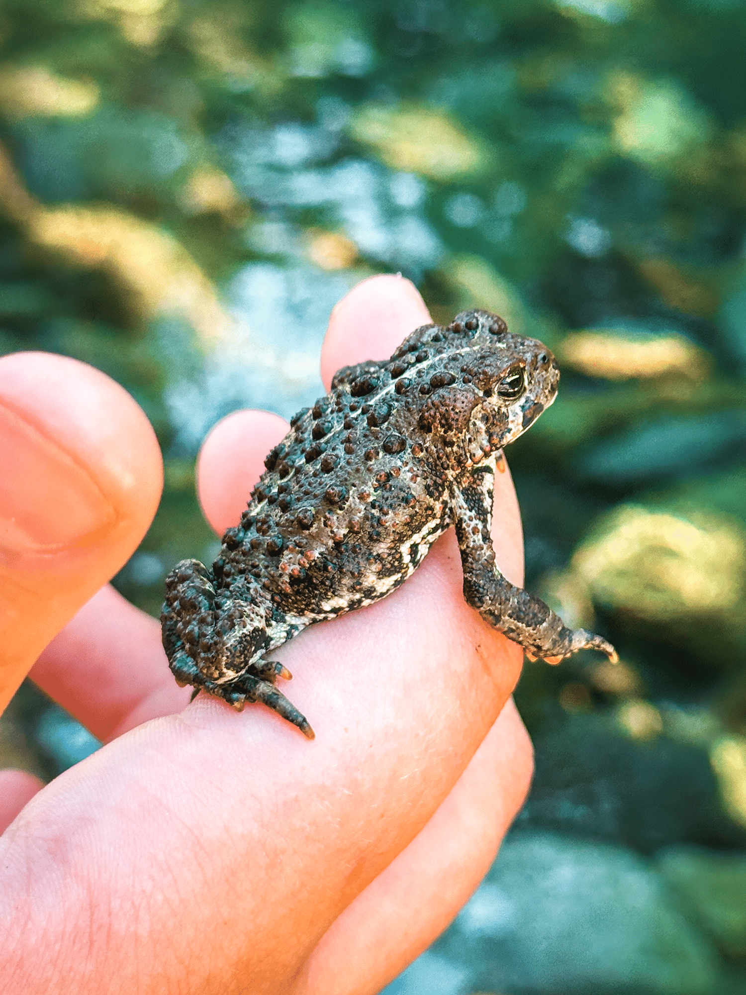 Big Four Ice Caves: Easy Washington Hike With Epic Views 12 Big Four Ice Caves hike in Washington state