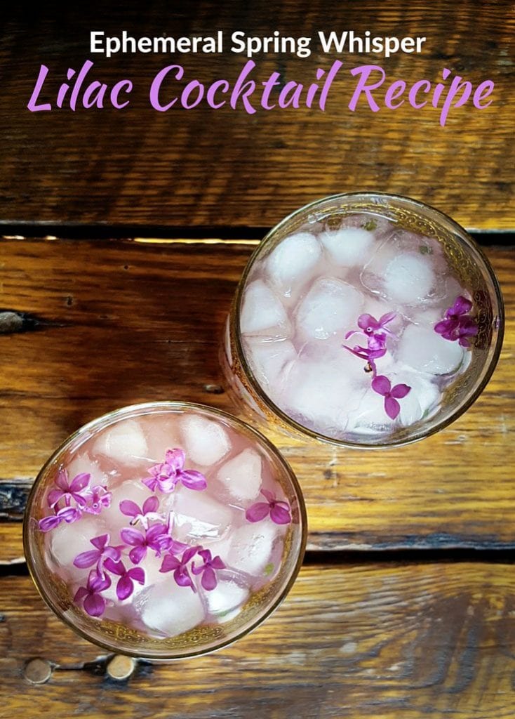 Lilac cocktail recipe