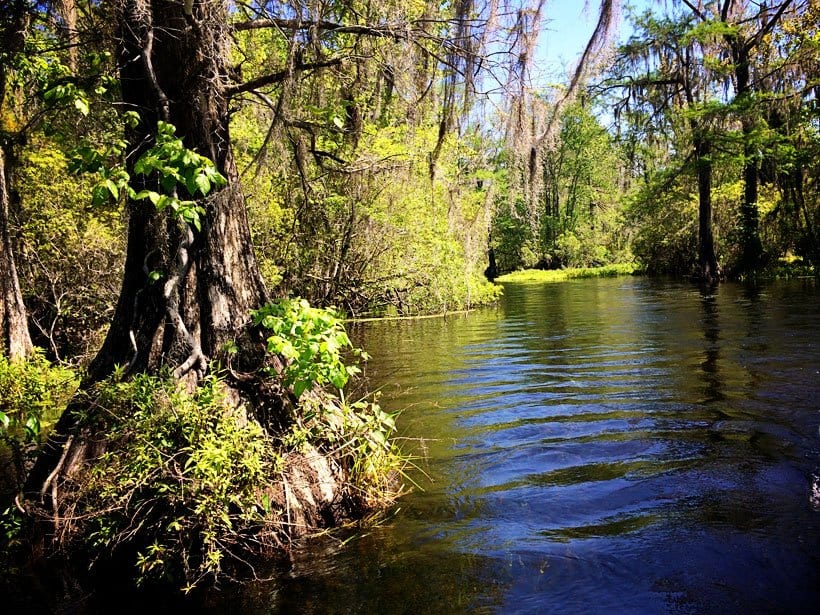 Wakulla-Springs-State-Park-018