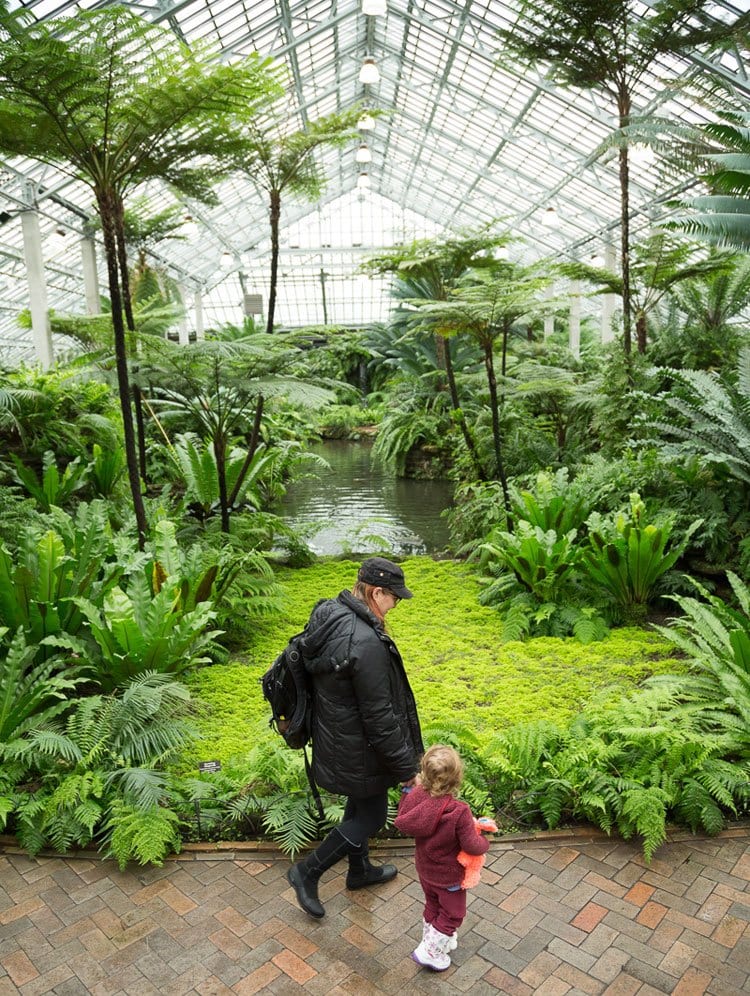 Garfield Park Conservatory