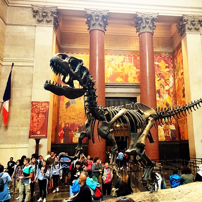 American Museum of Natural History NYC with Kids