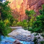 Zion National Park with Kids