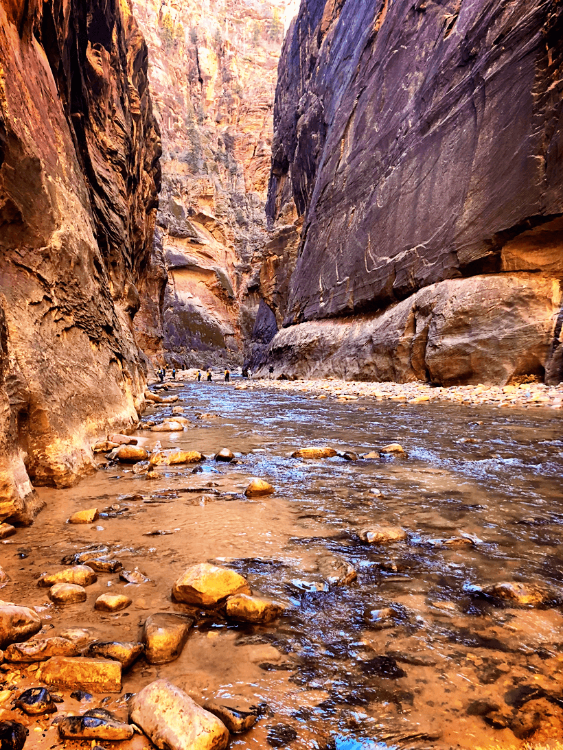 Hiking the Zion Narrows Zion National Park Utah