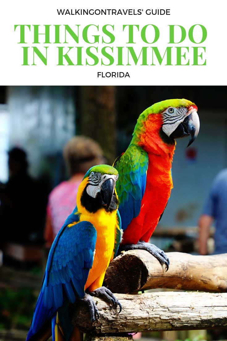 Things to do in Kissimmee Florida with Kids: There are endless activities to explore when looking for things to do in Kissimmee with kids. A short drive takes you to the Kennedy Space Center, Disney World, and even the beach! #kissimmee #disneyworld #universal #harrypotter #orlando #florida #gatorland #NASA