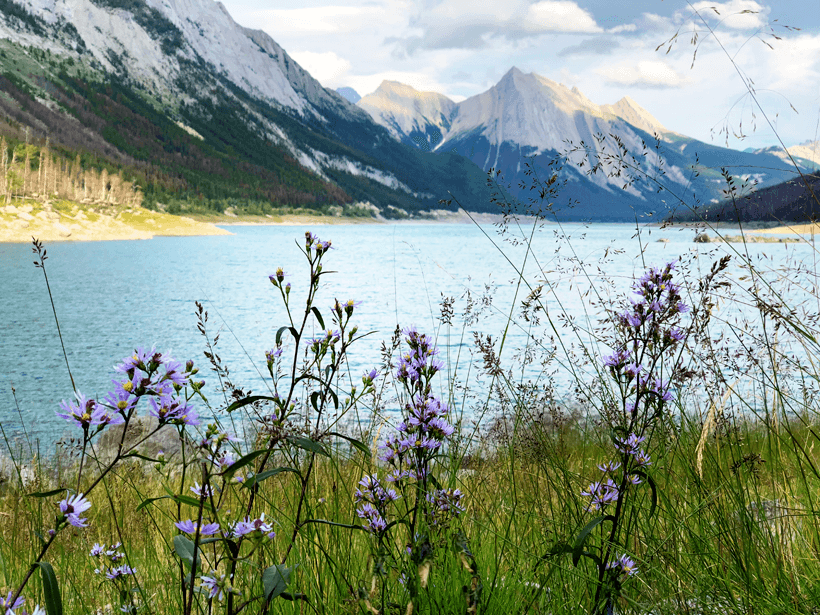 Medicine Lake Alberta