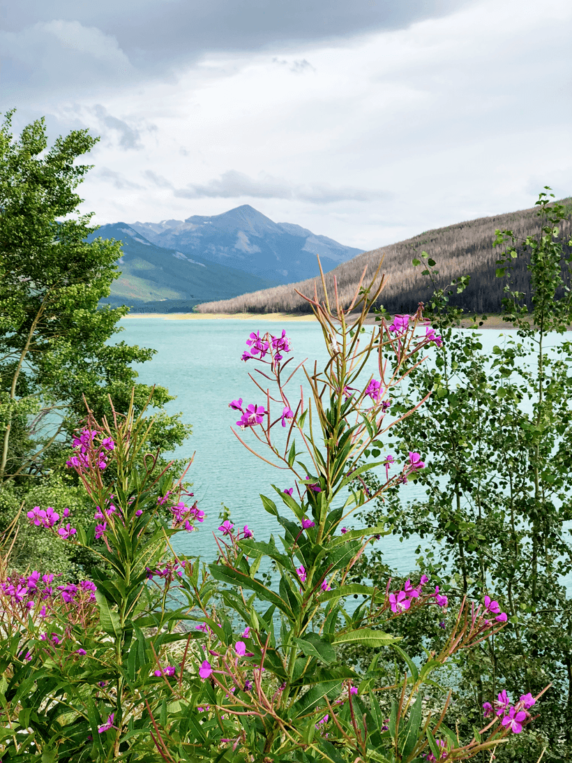 Jasper Canada