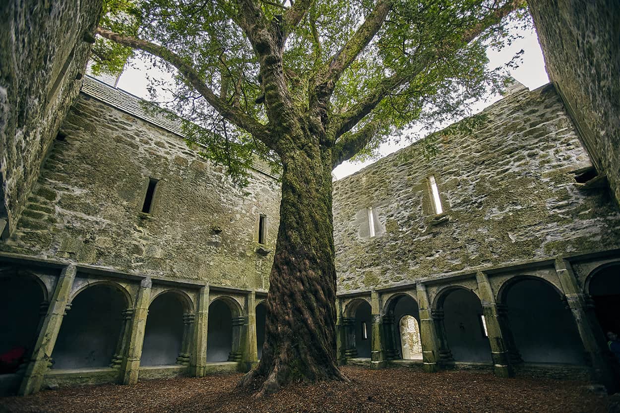 Muckross Abbey in Killarney National Park Ireland
