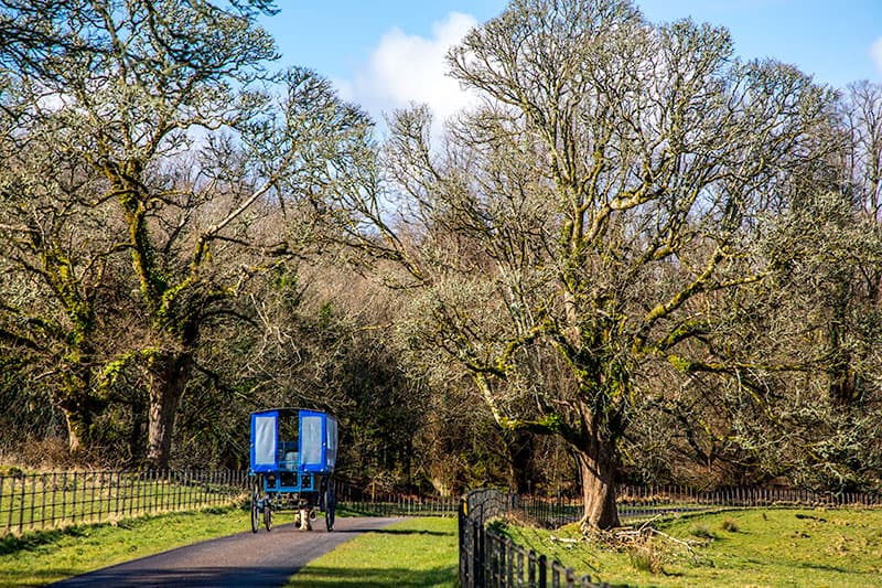 Killarney National Park