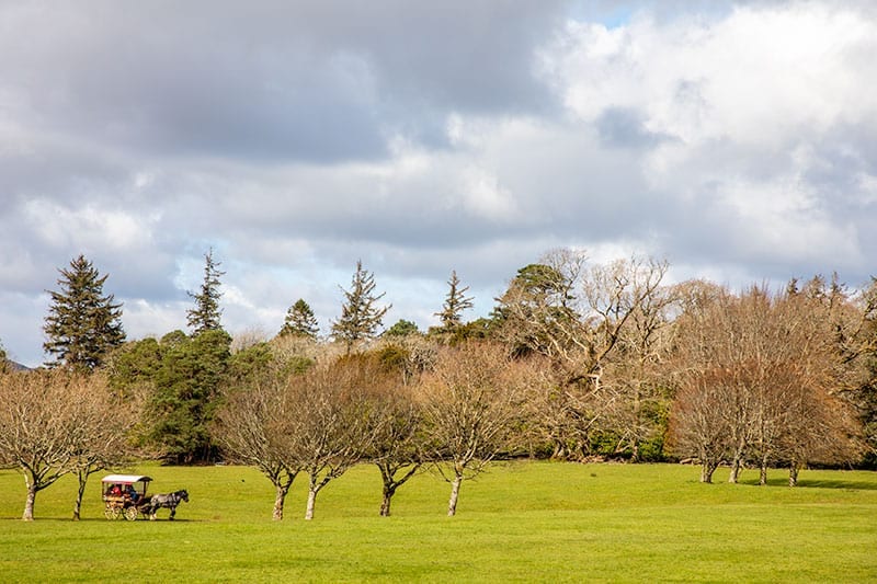 Killarney National Park