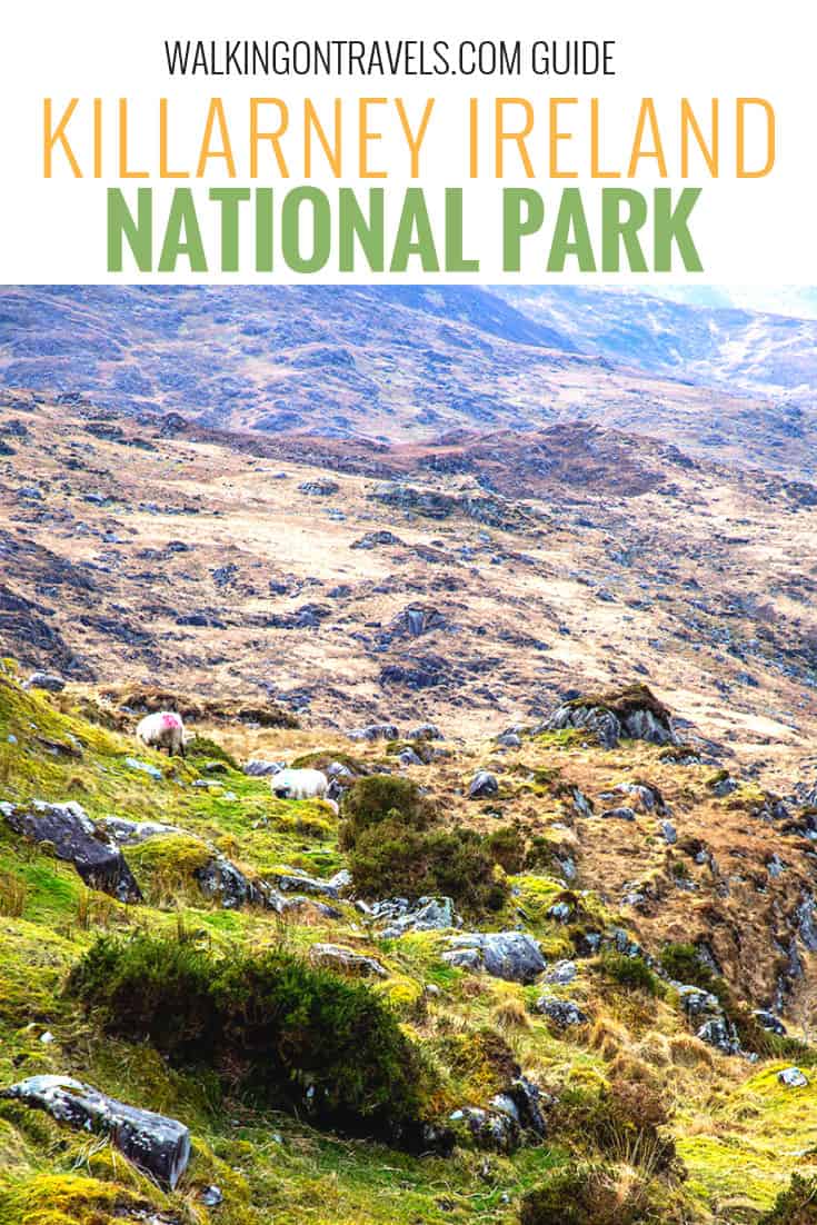 Discover Killarney National Park with this guide to all of the things to do while you explore the Ring of Kerry in Ireland, including how to get to Torc Waterfall, Muckross House, Kenmore, what lakes you will see and other must-see stops along the way. #ireland #killarney #nationalpark