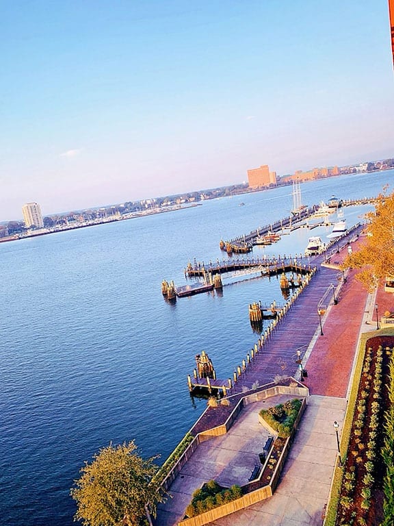 10+ Wonderful & Delicious Things to do in Norfolk VA