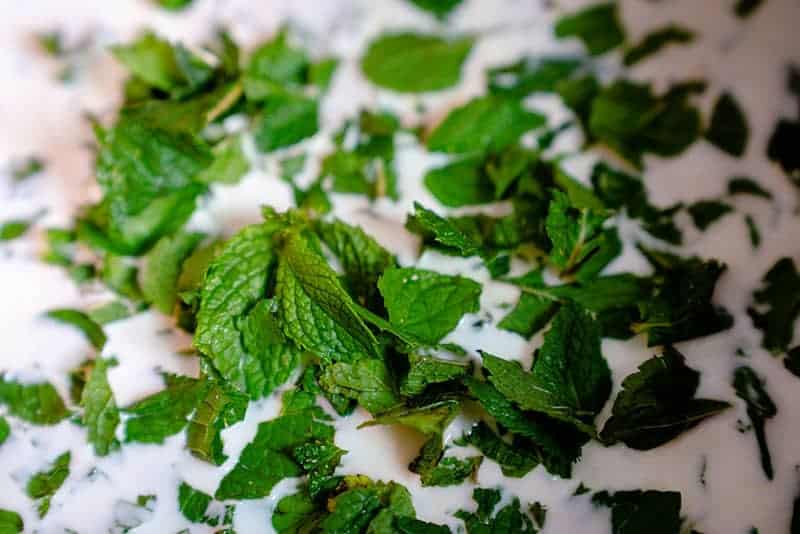 mint ice cream recipe