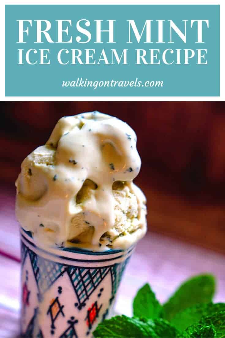 Mint Ice Cream Recipe 004