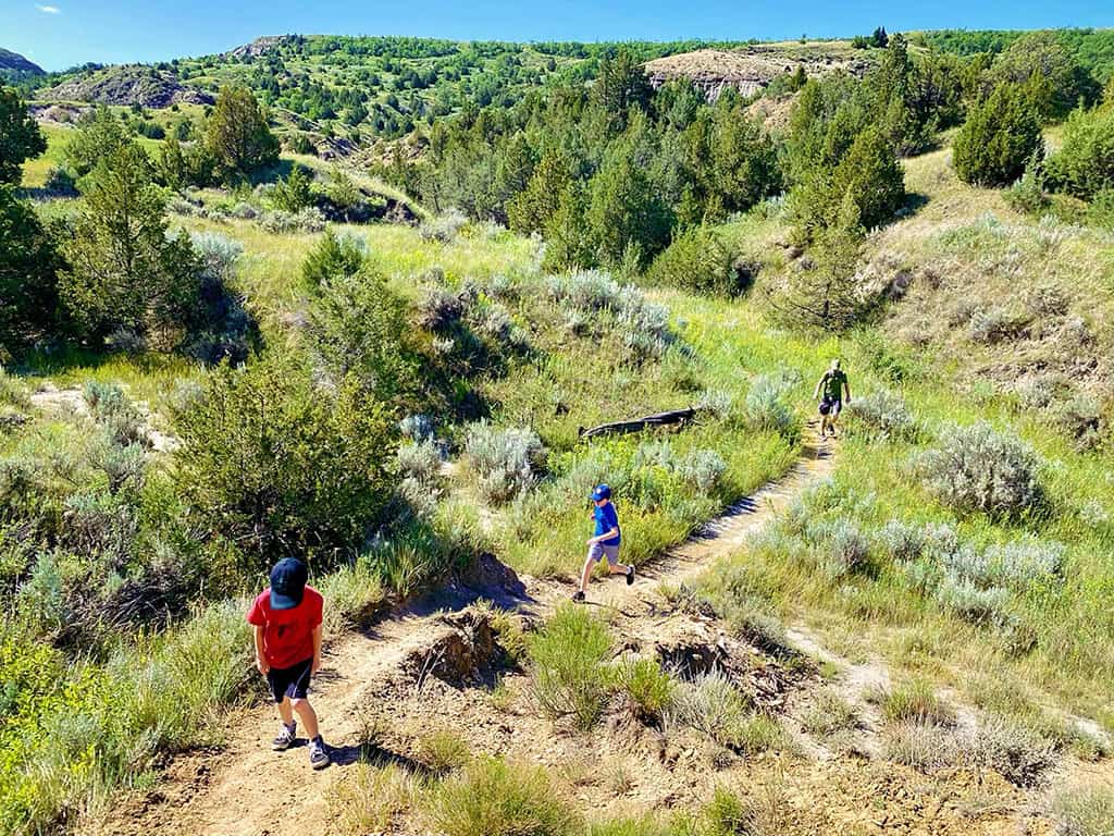 Theodore Roosevelt National Park