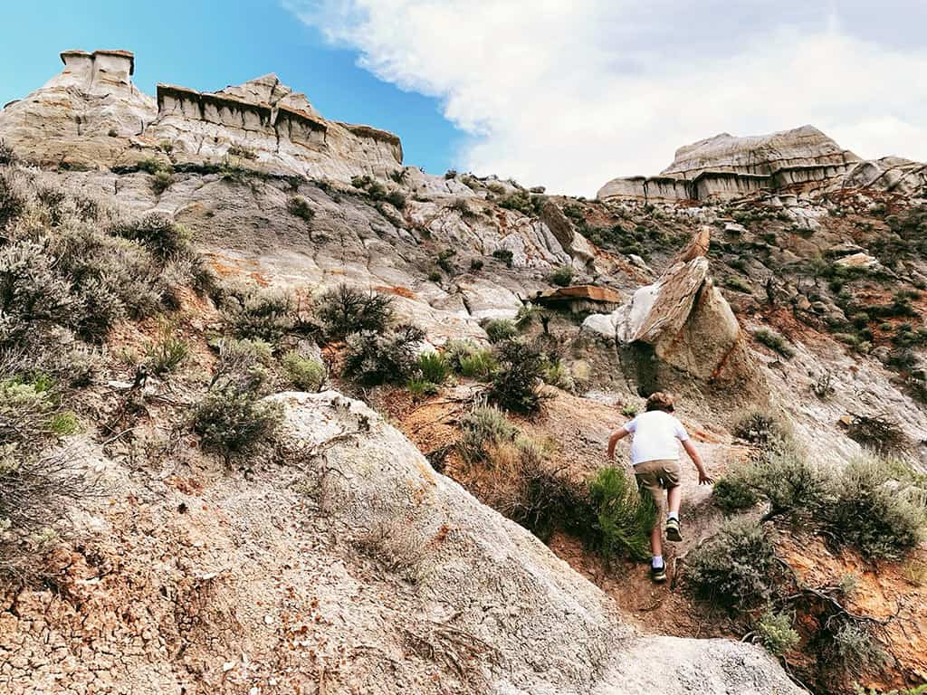 Theodore Roosevelt National Park