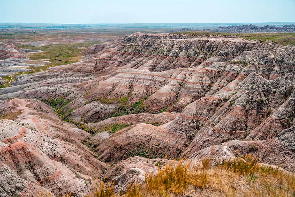 are dogs allowed badlands national park