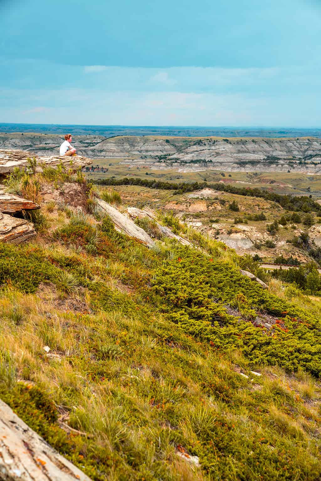 Theodore Roosevelt National Park