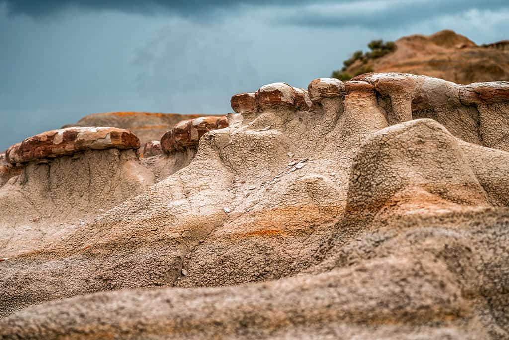 Theodore Roosevelt National Park