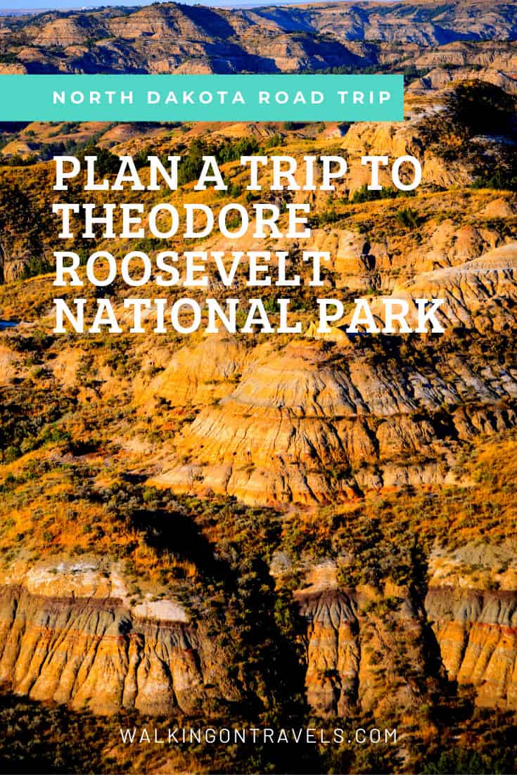 Theodore Roosevelt National Park 001