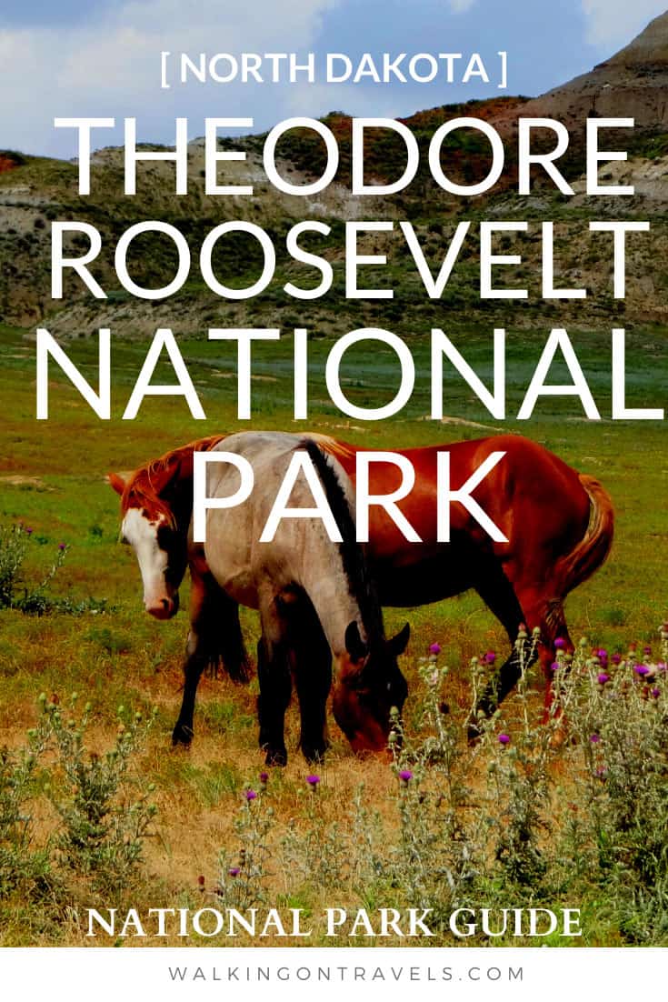 Theodore Roosevelt National Park 003