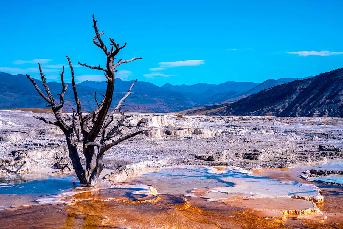 planning a trip to Yellowstone