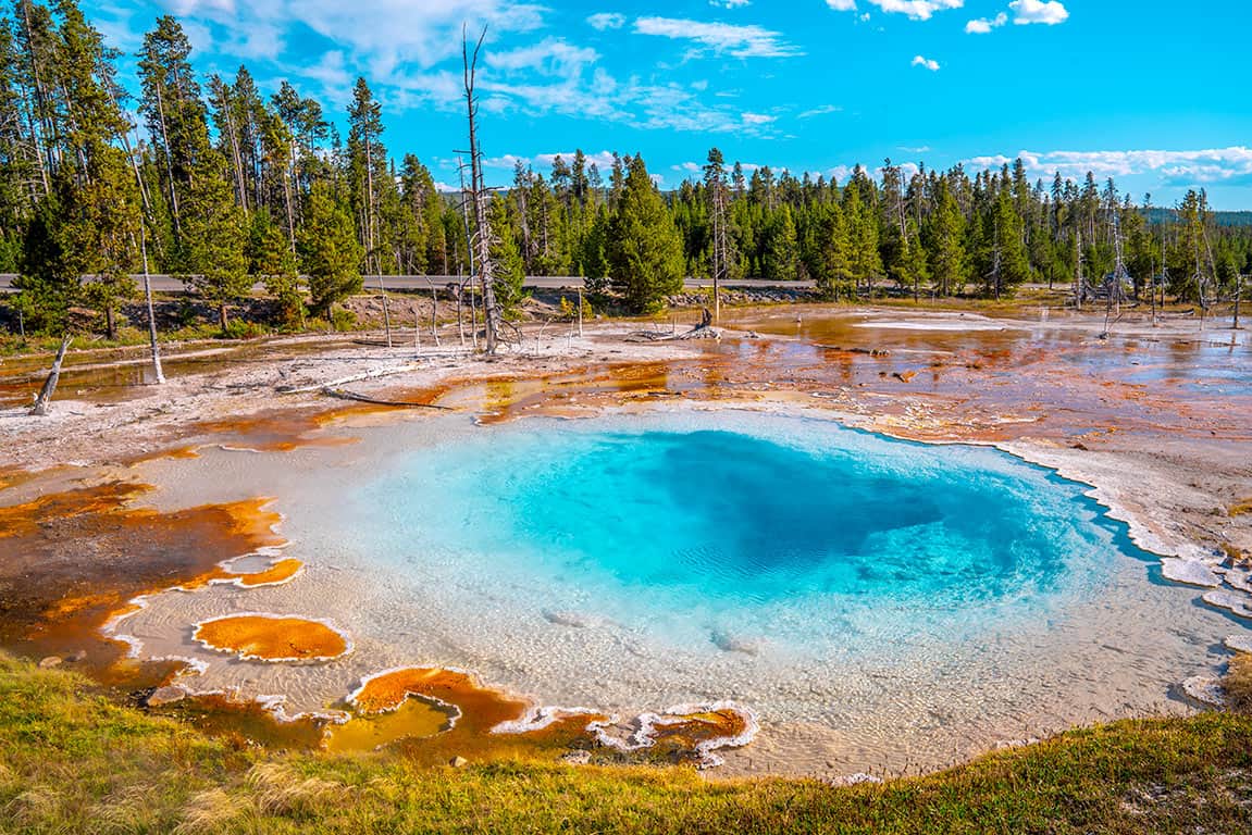 planning a trip to Yellowstone