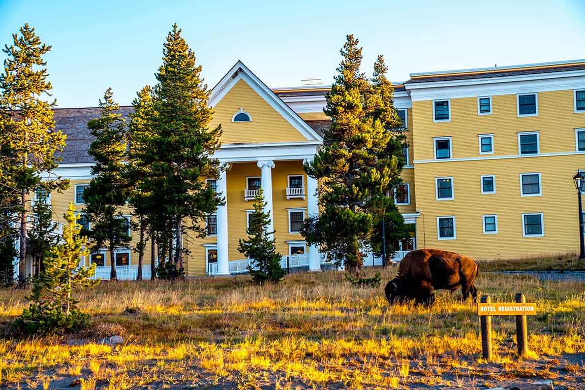 yellowstone national park lodging