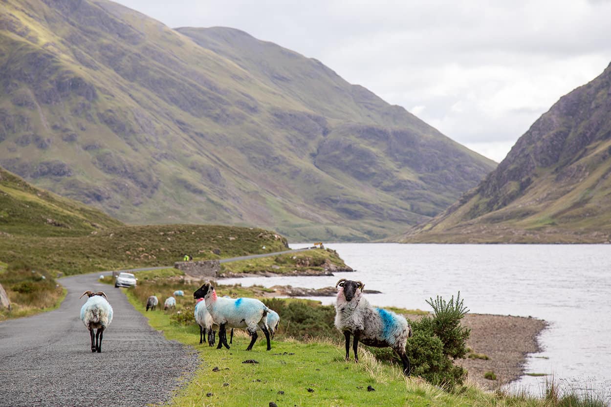 How to book a rental Car Ireland - County Mayo