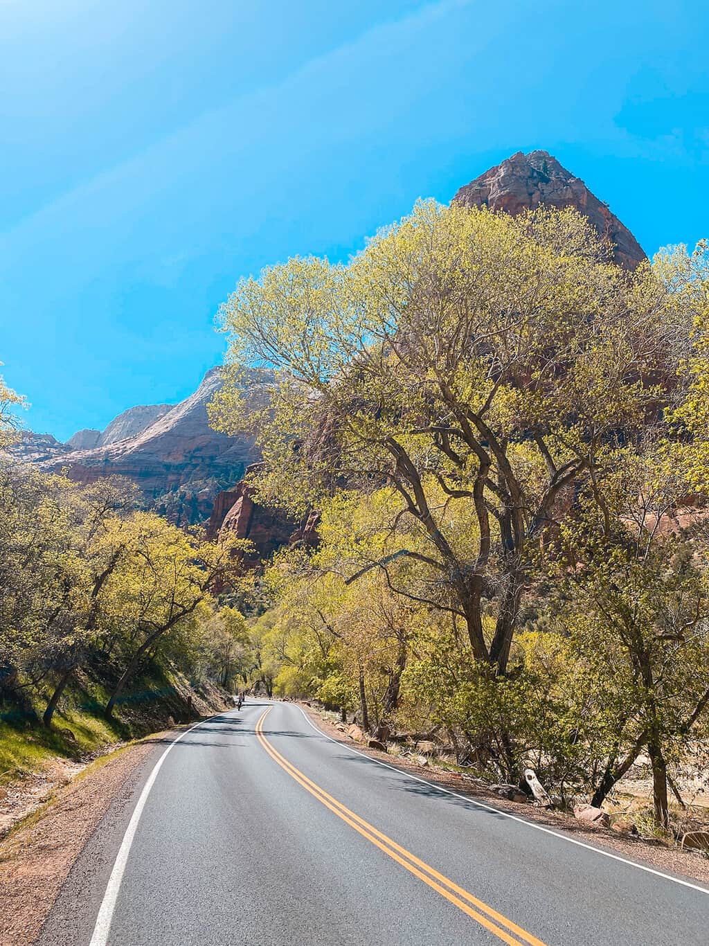 Zion National Park