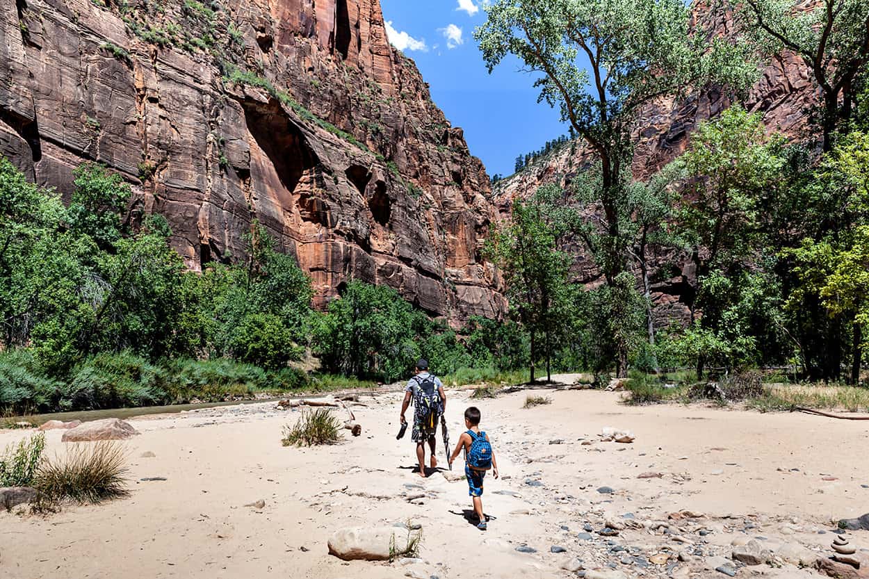 Zion National Park Junior Ranger Program