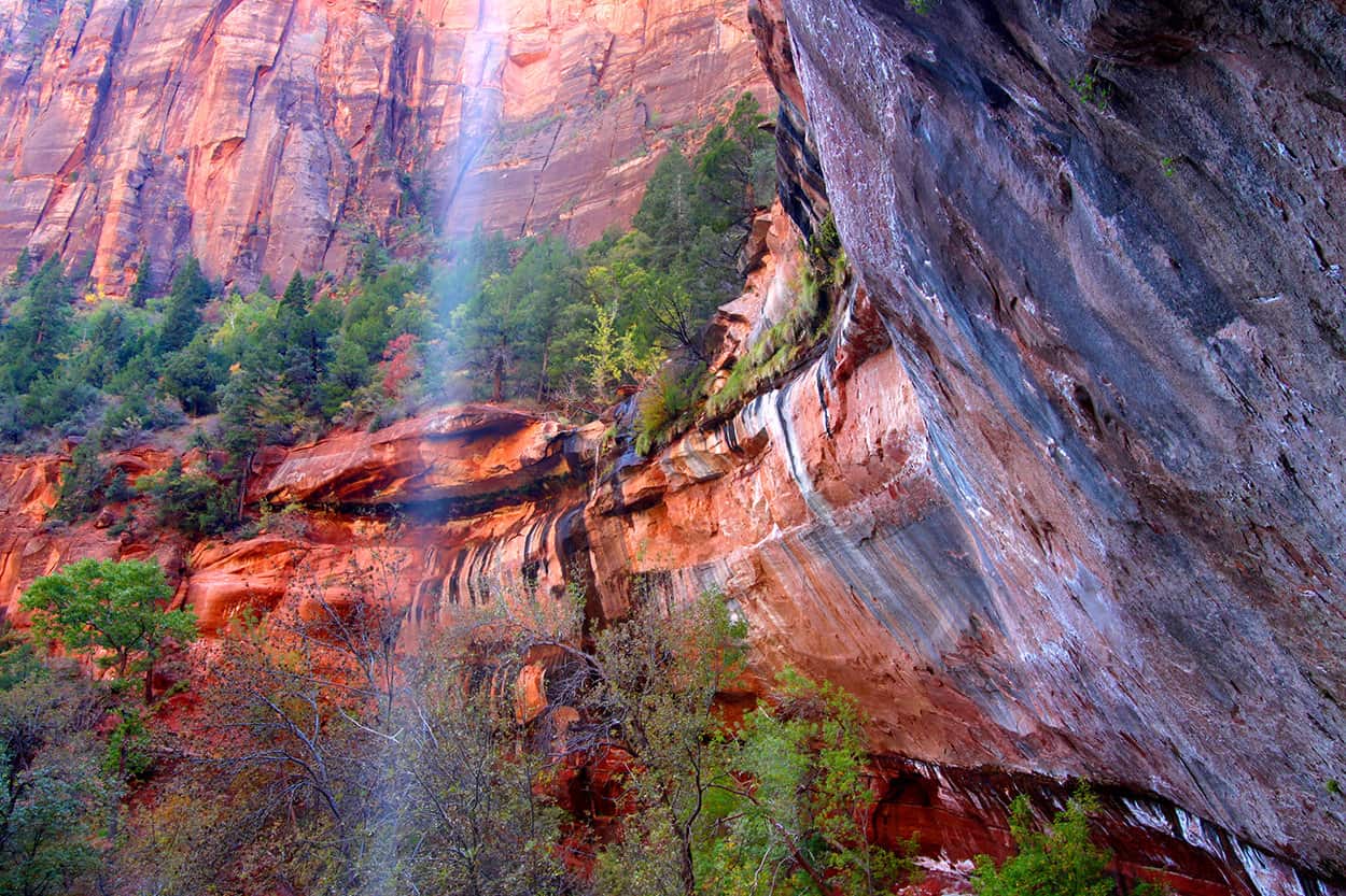 Lower Emerald Pool Zion National Park