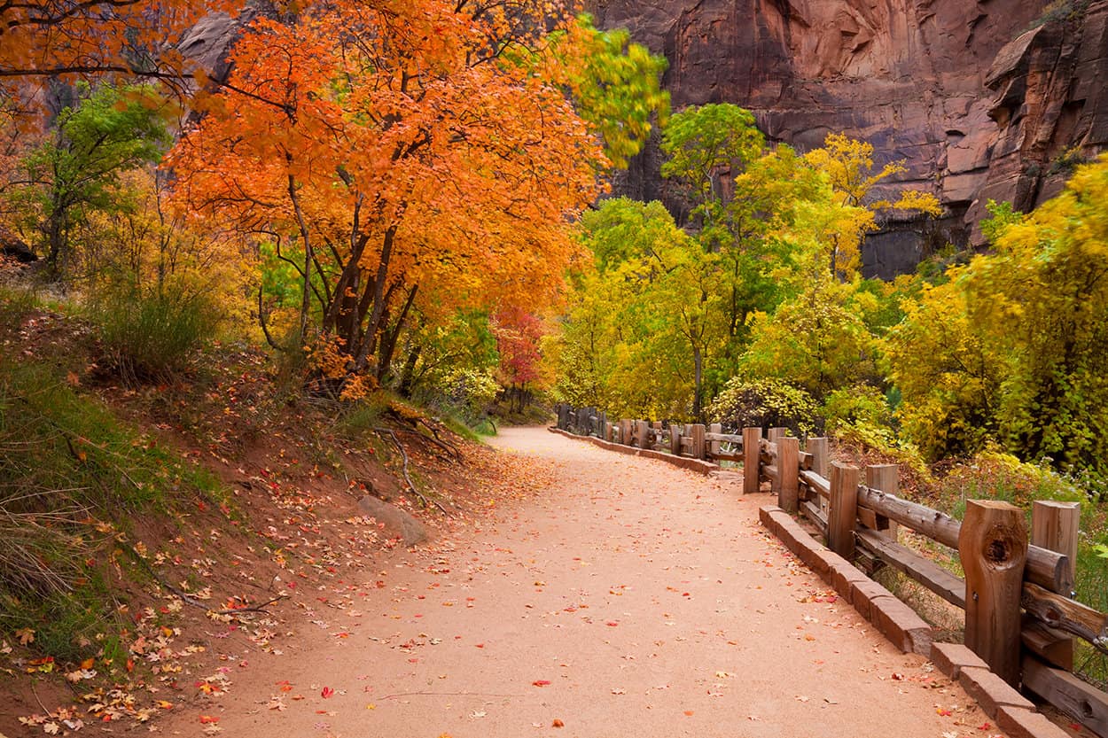 zion national park riverside walk