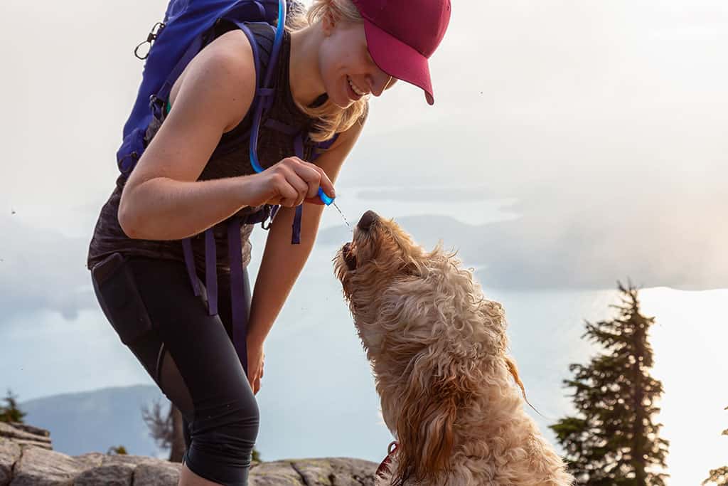 Best Hydration Packs for Hiking