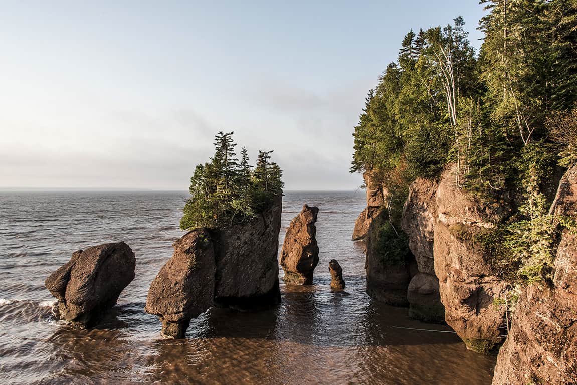 Hopewell Rocks in the Bay of Fundy New Brunswick Canada
