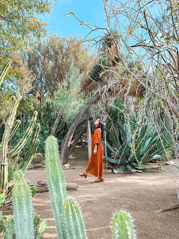 Palm Springs CA - Moorten botanical garden