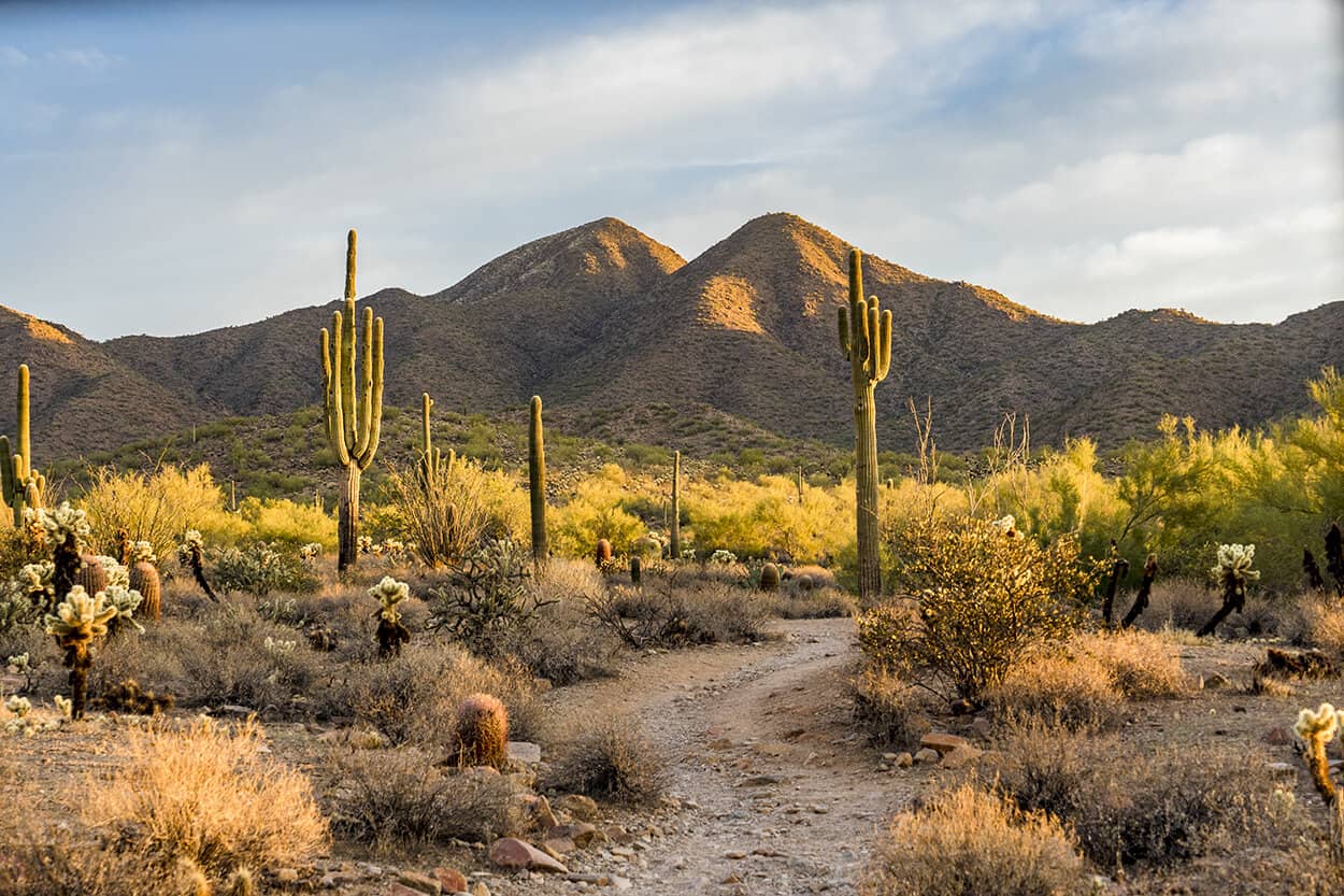 Hiking in Scottsdale AZ