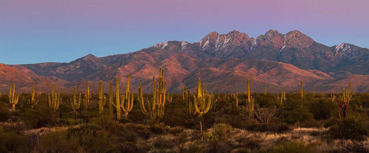 Hiking in Scottsdale