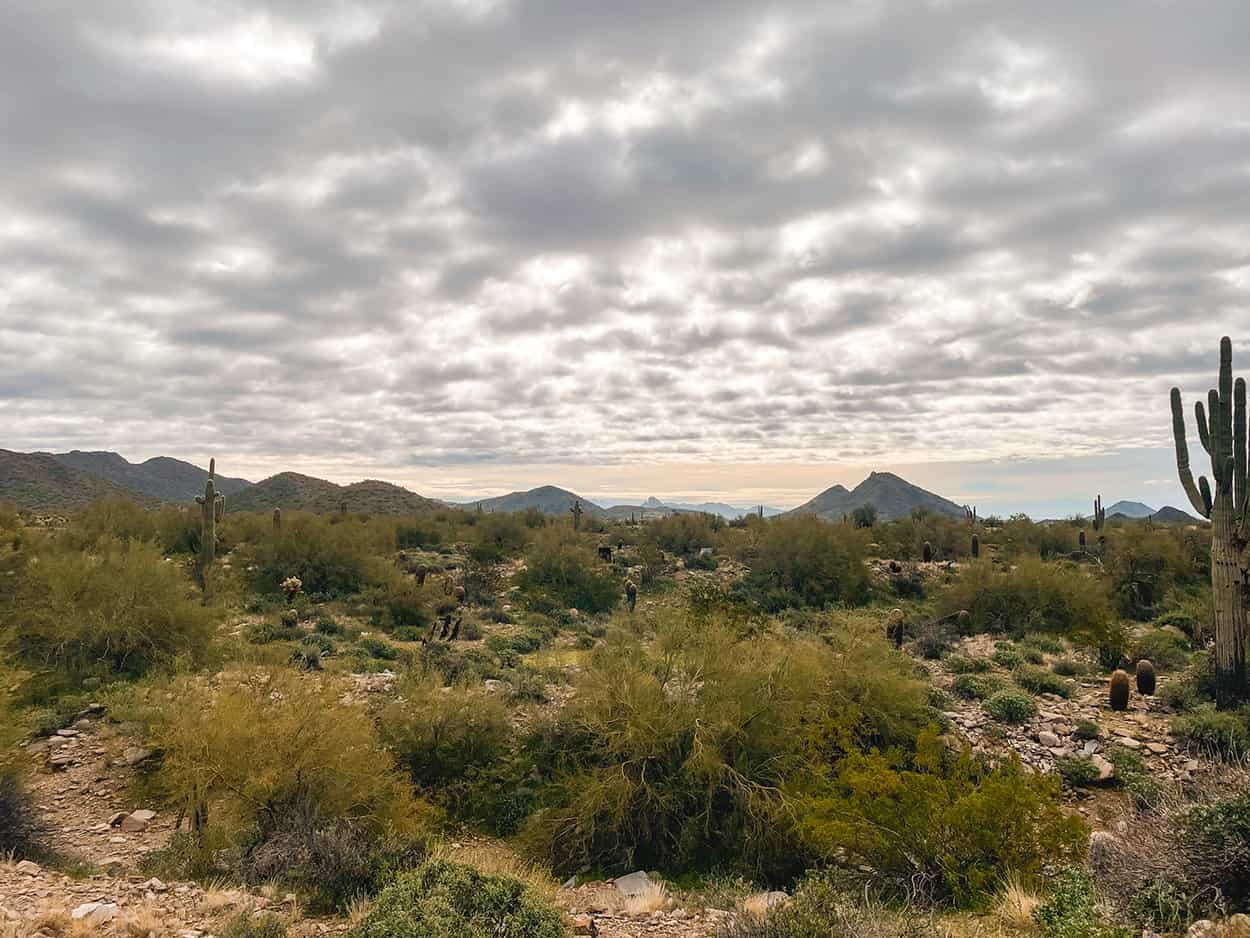 Lost Dog Wash Trail Hiking in Scottsdale AZ