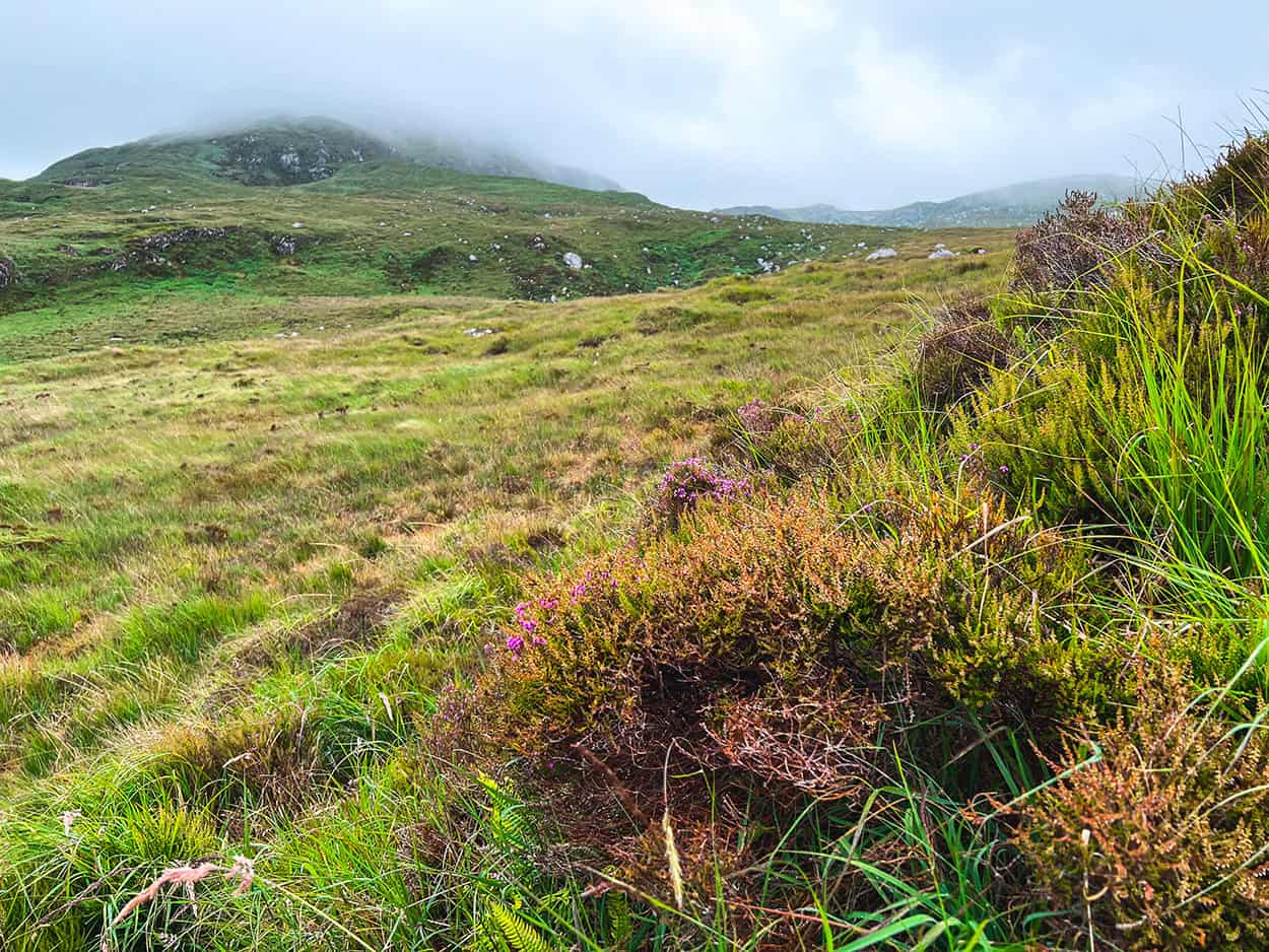 Connemara National Park Ireland