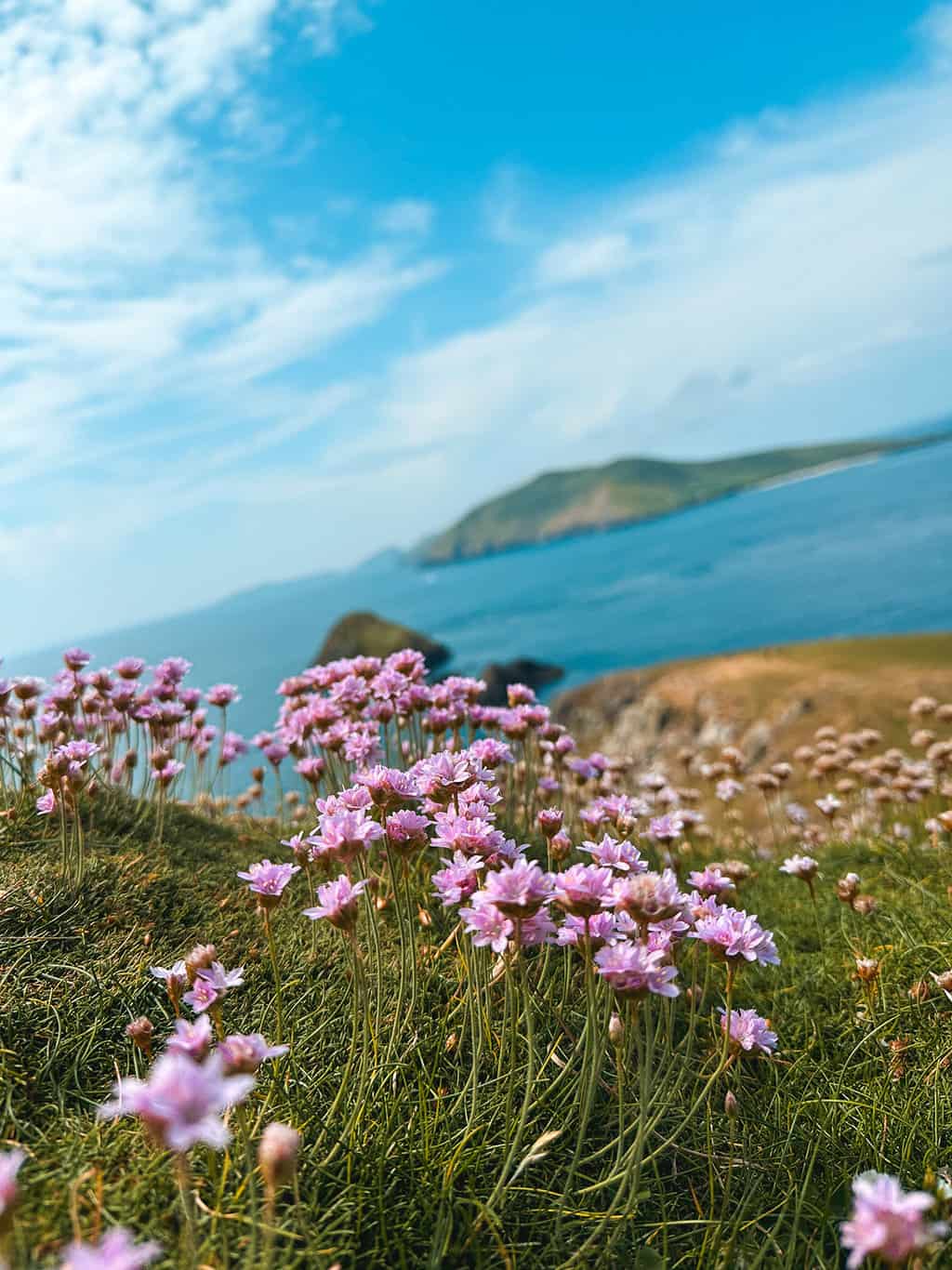 Slea Head Drive Dunmore Head Dingle Peninsula Ireland