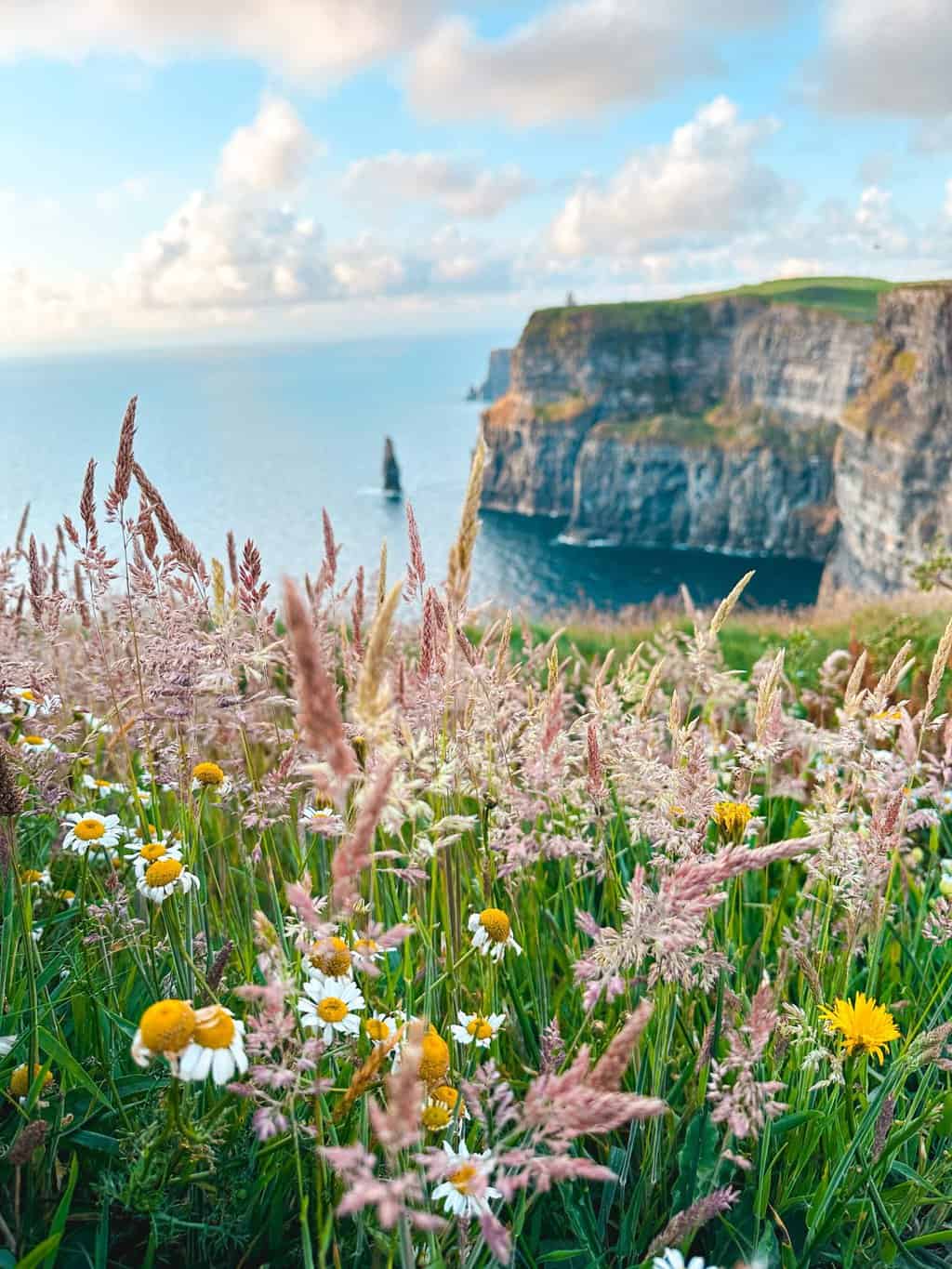 Cliffs of Moher Doolin Ireland