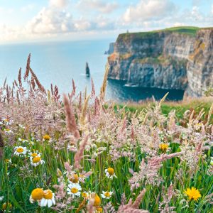 Cliffs of Moher Doolin Ireland- credit Keryn Means of Twist Travel Magazine