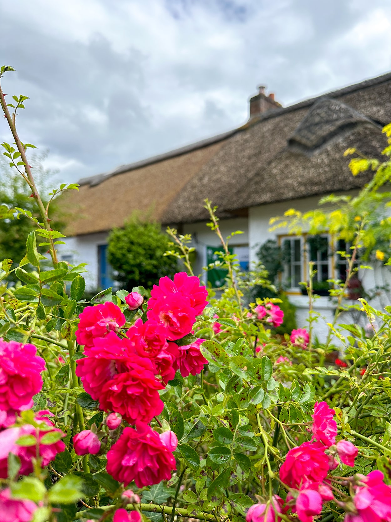 Thatched Roof Cottages in Adare Ireland