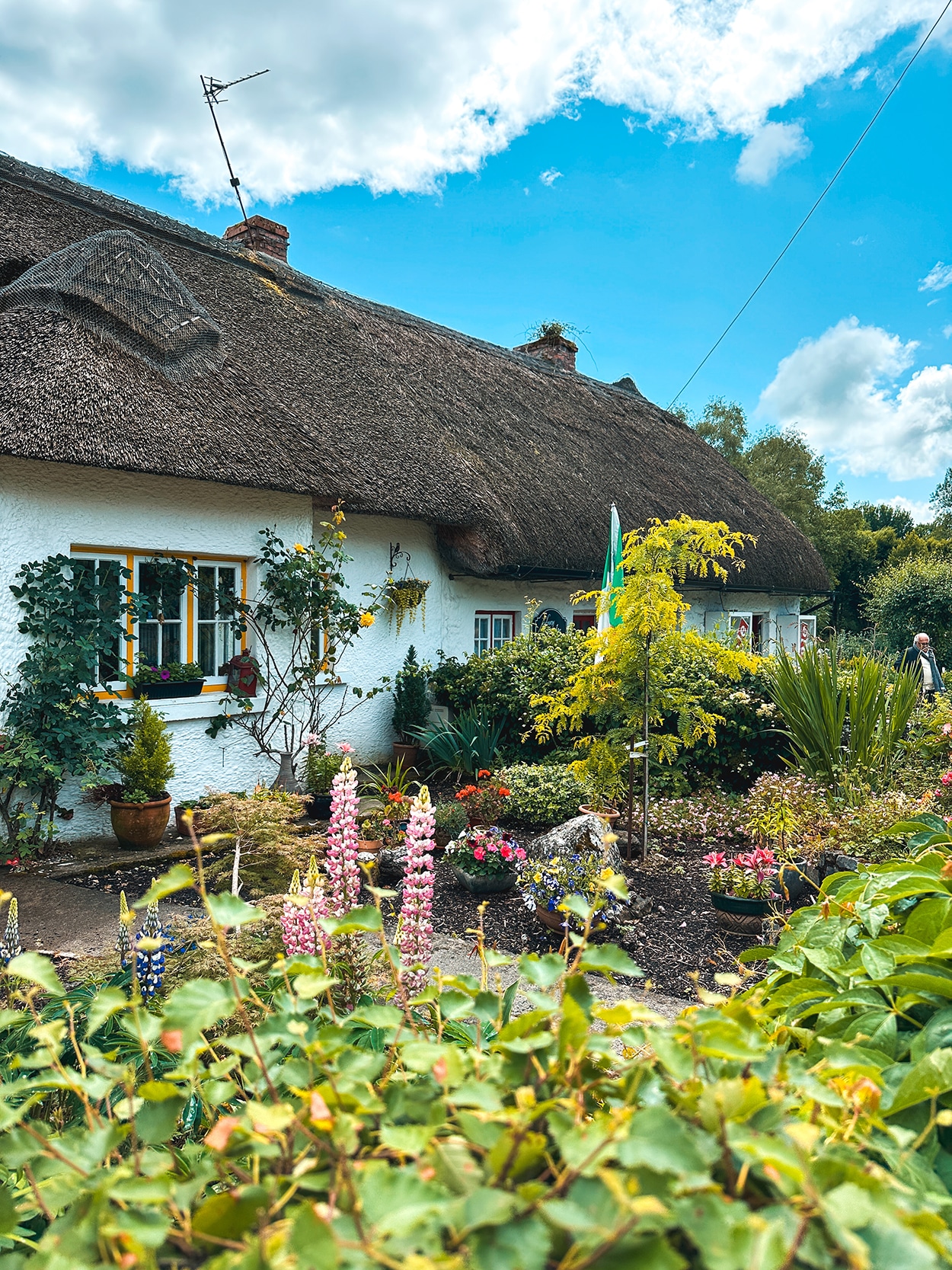 Thatched Roof Cottages in Adare Ireland