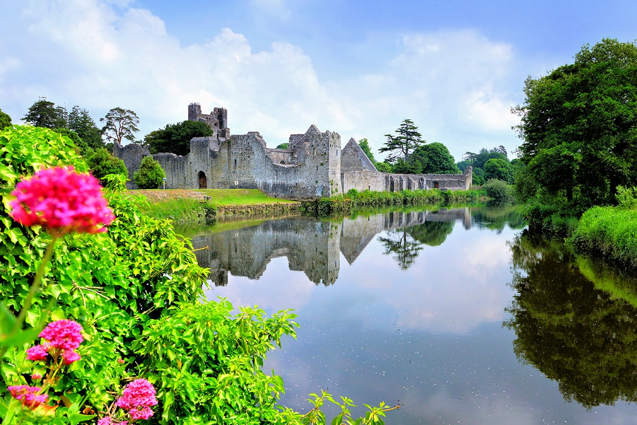 DESMOND CASTLE in Adare Ireland