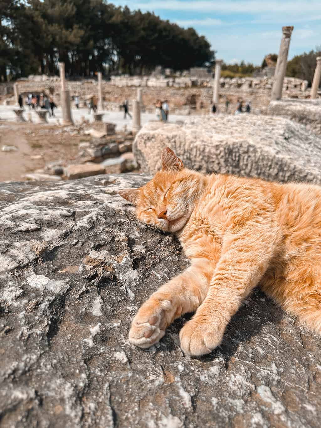 Ephesus Turkiye