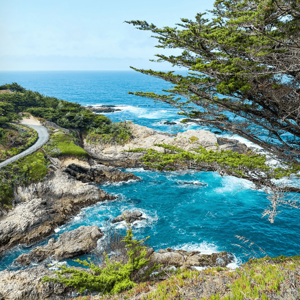 101 Unique Things to do on the Pacific Coast Highway