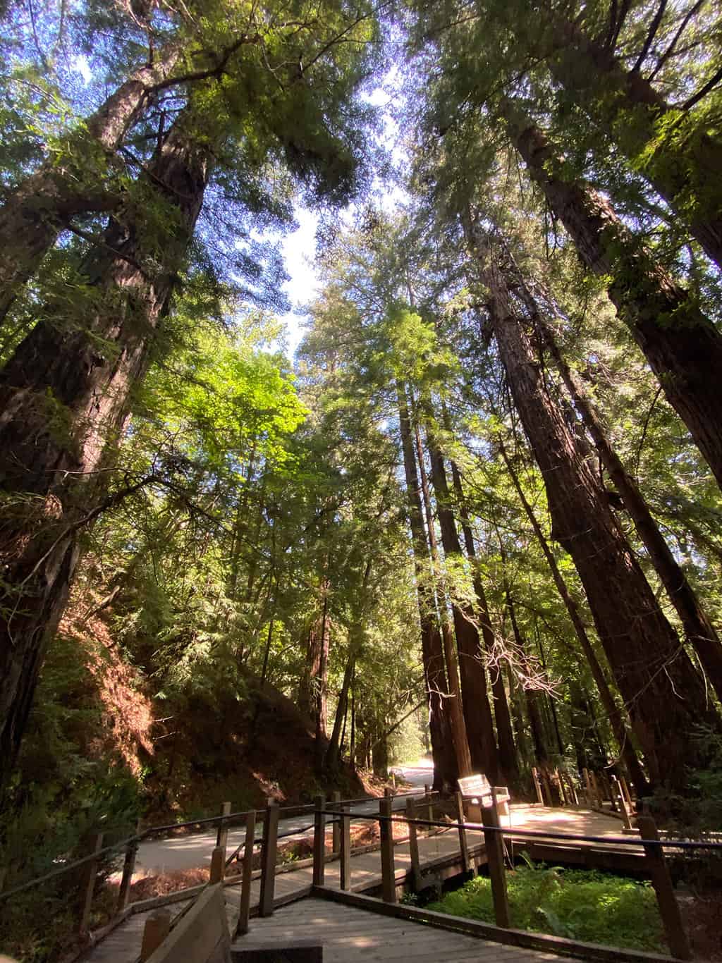 Pfeiffer Big Sur State Park California